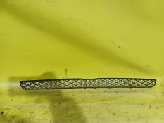 Решетка бампера центральная BMW X5, X6