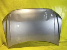 Капот Volkswagen Tiguan