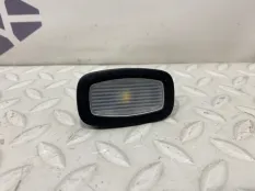 Плафон салонный Mercedes-Benz S-CLASS 2018 A0009069904 W222 LONG 256930