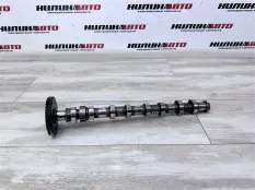 241102F010 241102F000