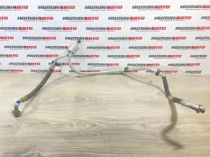 9684368380 6477F4 9831991080