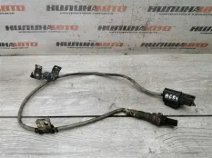 Z60218861A