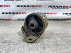 219101M100