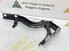 Петля капота Exeed TXL 2020-2023 553000026AA M32T, правая