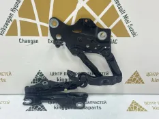 Петля капота BMW X5 2019-2023 41009477741 G05, левая