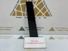 Накладка стойки двери Omoda C5 2022-2024 551001318AA T19C, задняя правая