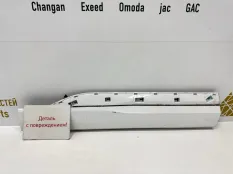 Молдинг двери Exeed VX 2021-2024 609000322AA M36T, задний правый