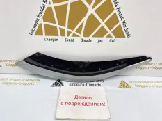 Накладка фары Exeed RX 2023-2024 602002487AA T22, передняя левая