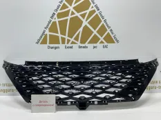 Решетка радиатора Omoda C5 2022-2024 602002763AA T19C