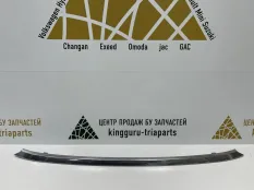 Молдинг решетки радиатора Omoda C5 2022-2024 602002032AA T19C