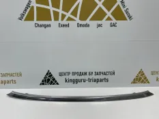 Молдинг решетки радиатора Omoda C5 2022-2024 602002032AA T19C