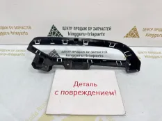 Окантовка птф Exeed RX 2023-2024 602002616AA T22, левая