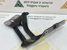 Петля капота Omoda C5 2022-2024 553000321AA T19C, правая