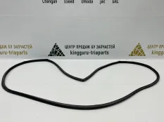 Уплотнитель дверного проема BMW X7 2019-2022 7387590 G07, передний правый