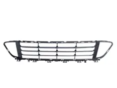 Решетка бампера BMW X1 2015-2019 51117383353 F48, передняя