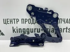 Петля капота BMW X3 2017-2021 41617475791 G01 ДО РЕСТАЙЛИНГ, левая