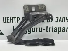 Петля капота Omoda C5 2022-2024 553000321AA T19C, правая
