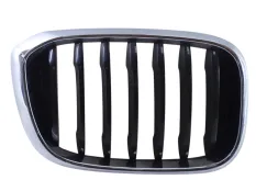 Решетка радиатора BMW X3 2017-2021 51137464920 G01 ДО РЕСТАЙЛИНГ, левая