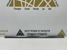 Молдинг двери BMW X7 2019-2022 51137428687 G07, передний левый
