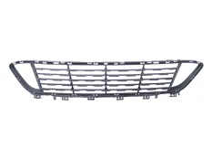 Решетка бампера BMW X1 2015-2019 51117354773 F48, передняя