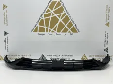 Спойлер Бампера Exeed RX 2023-2024 602002439AA T22, передний