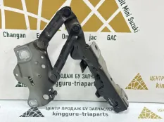 Петля капота BMW X5 2019-2023 41009477742 G05, правая