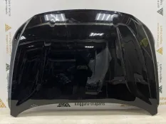 Капот Exeed RX 2023-2024 553000418AADYJ T22