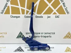 Петля капота Skoda Rapid 2020-2022 60U823301 2 NK6, левая