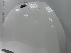 Капот JAC J7 2019-2023 8402010U7300E