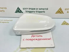 Крышка зеркала JAC J7 2019-2023 B20230801, левая