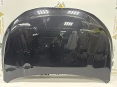Капот Exeed TXL 2020-2023 509000735AADYJ M32T