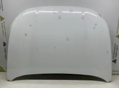 Капот Exeed VX 2021-2024 509001143AA M36T