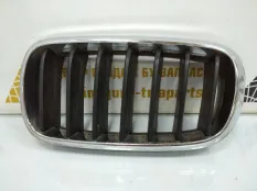 Решетка радиатора BMW X5 2013-2018 7316075 F15, левая