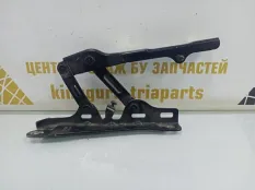 Петля капота Genesis GV80 2020-2022 66910T6000 JX1, левая