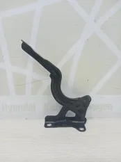 Петля капота BMW X3 2008 41613452844 E83 РЕСТАЙЛИНГ 30D M57, правая