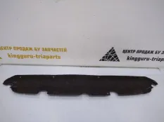 Защита бампера BMW X3 2017-2021 51757404241 G01 ДО РЕСТАЙЛИНГ, задняя