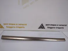 Молдинг двери BMW X7 2019-2022 51137428709 G07, задний левый