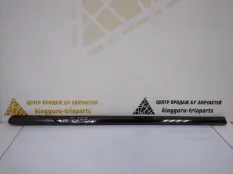 Молдинг двери BMW X7 2019-2022 51137428688 G07, передний правый