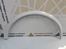 Расширитель крыла BMW X7 2019-2022 51117493021 G07, задний левый