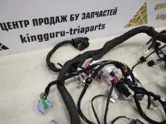 Проводка салона Omoda C5 2022-2024 806003946AA T19C