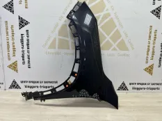 Крыло Exeed LX 2021-2024 509000115AA T1C, переднее левое