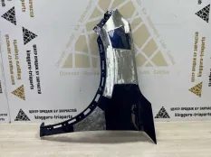 Крыло Exeed LX 2021-2024 509000115AADYJ T1C, переднее левое