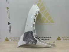 Крыло Exeed LX 2021-2024 509000116AADYJ T1C, переднее правое