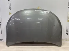 Капот Exeed TXL 2020-2023 509000735AADYJ M32T