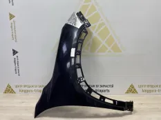 Крыло Exeed LX 2021-2024 509000116AADYJ T1C, переднее правое