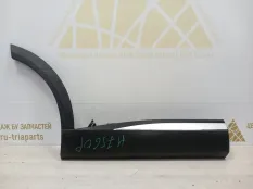 Молдинг двери Exeed RX 2023-2024 609001541AA T22, задний правый