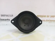 Динамик высокочастотный Geely Tugella 2023 6600012497 FY11 РЕСТАЙЛИНГ JLH4G20TDB