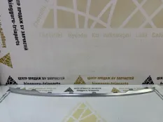 Молдинг решетки радиатора Exeed VX 2021-2024 602000383AA M36T
