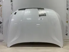 Капот Exeed RX 2023-2024 553000418AADYJ T22