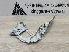 Петля капота BMW 3 2018-2022 41008494432 G20, правая